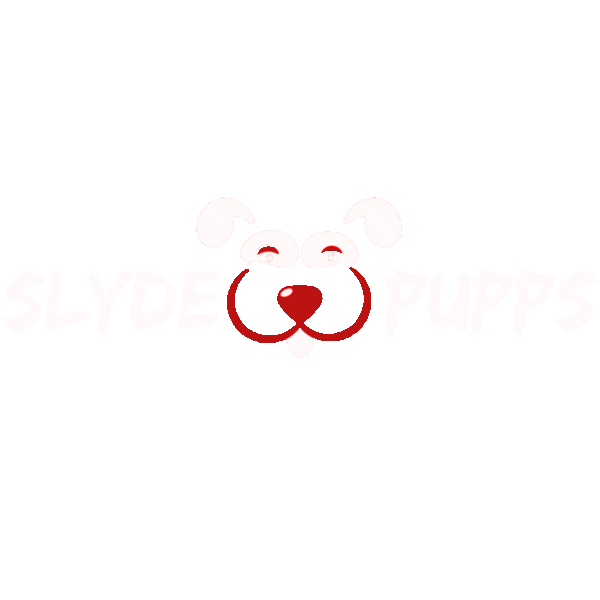 Slyde Pupps